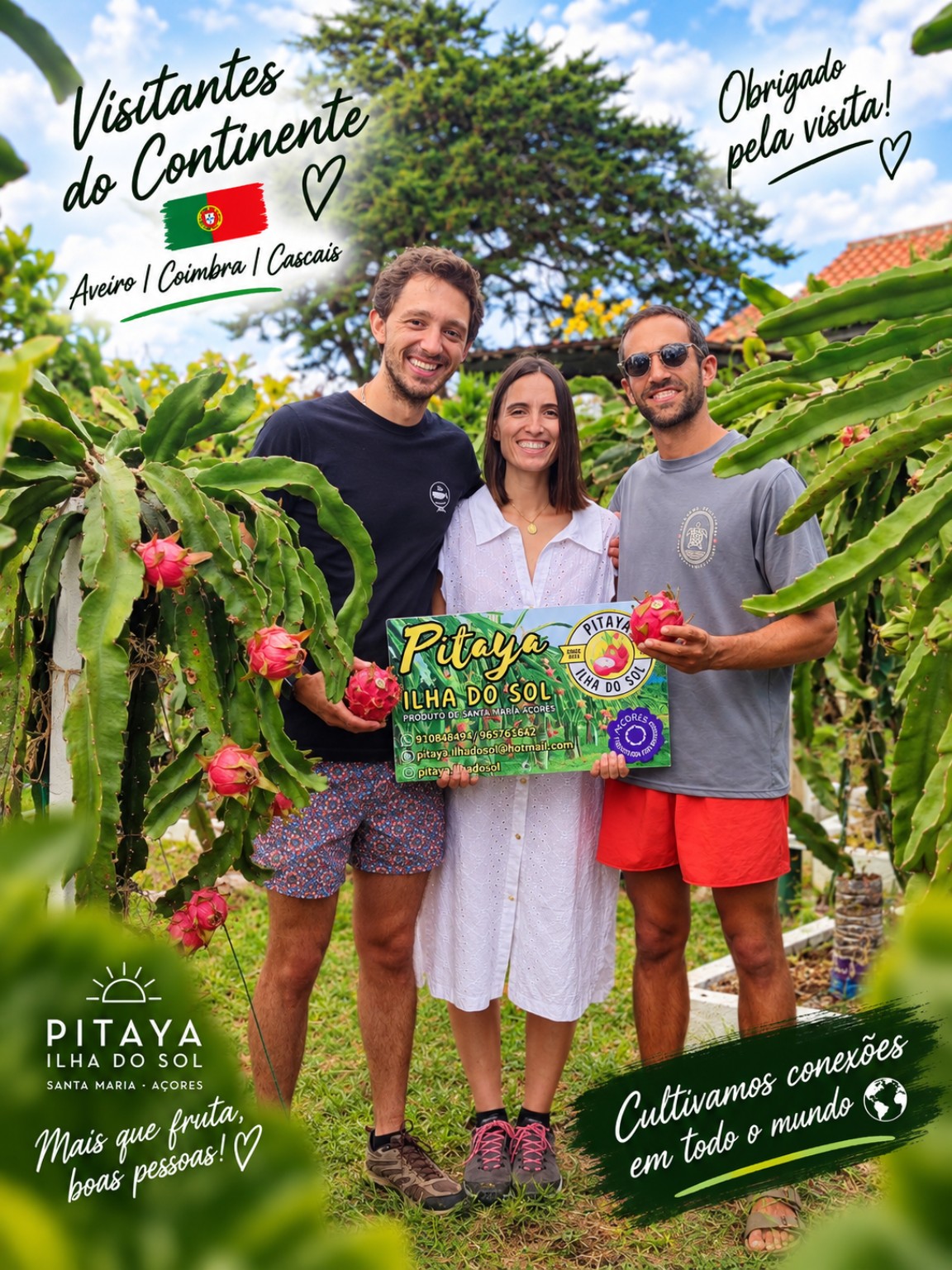 Registo de visitantes do continente português