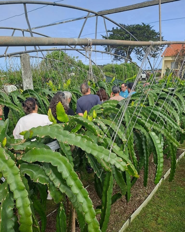 Fórum AçoresBio25 na Pitaya Ilha do Sol — momento 3