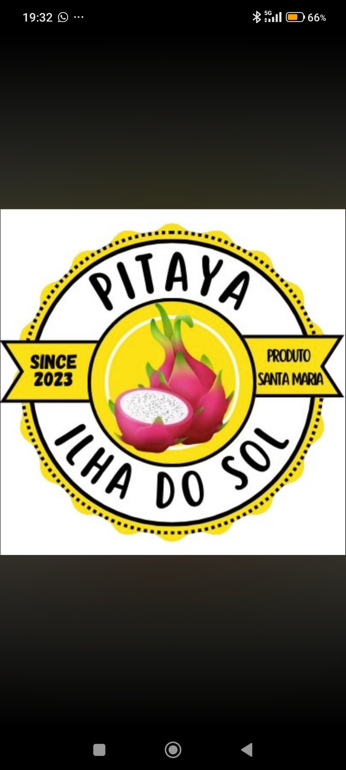 Logótipo Pitaya Ilha do Sol, desde 2023