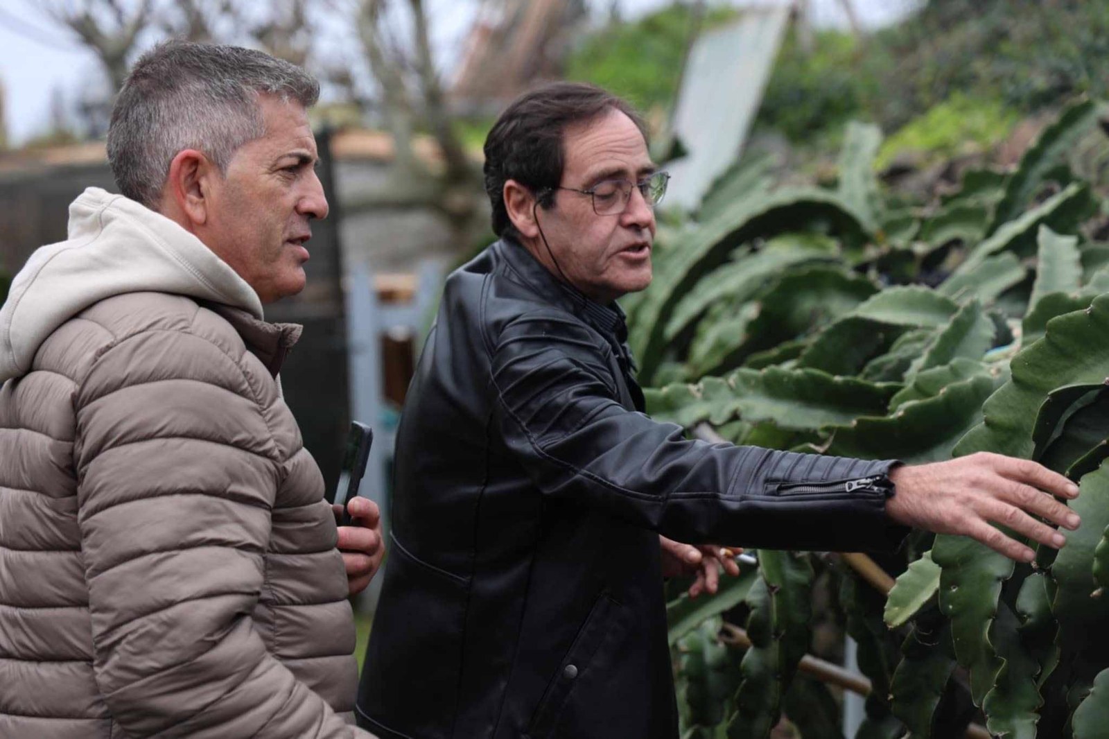 Visita de Mário Gonçalves à produção da Pitaya Ilha do Sol